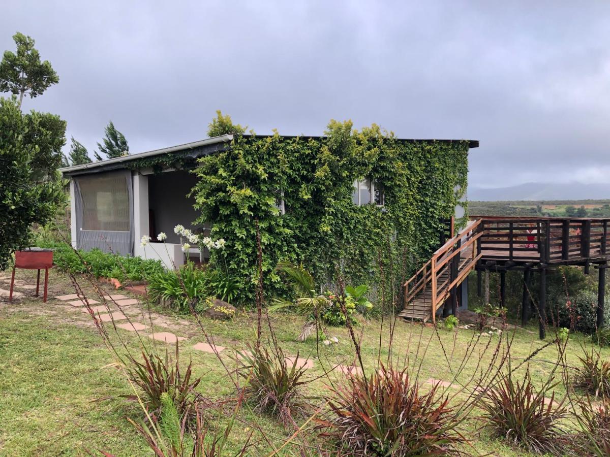 Rainforest Ridge Eco Resort The Crags Exteriér fotografie