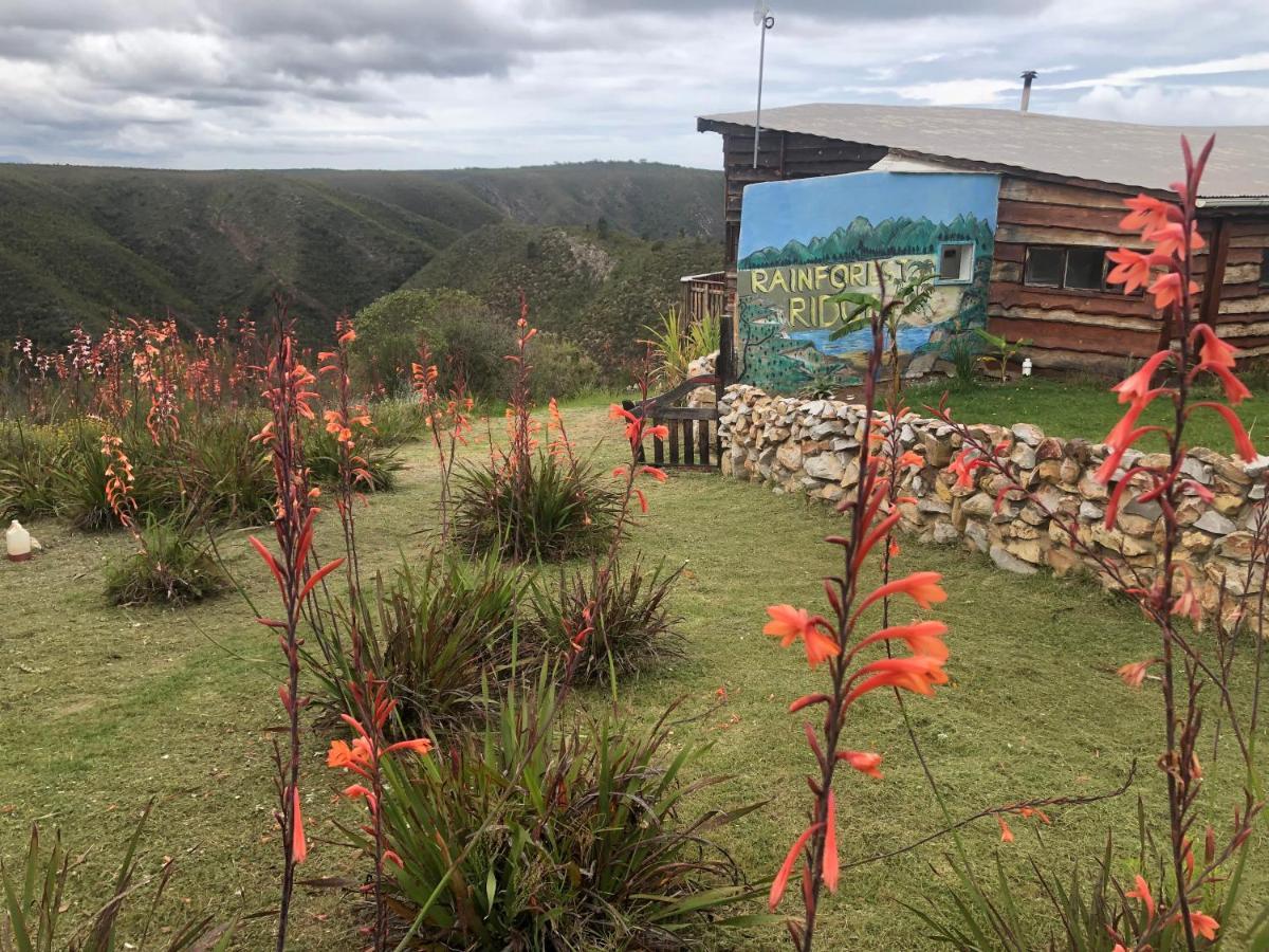 Rainforest Ridge Eco Resort The Crags Exteriér fotografie