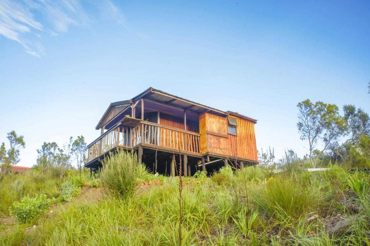 Rainforest Ridge Eco Resort The Crags Exteriér fotografie